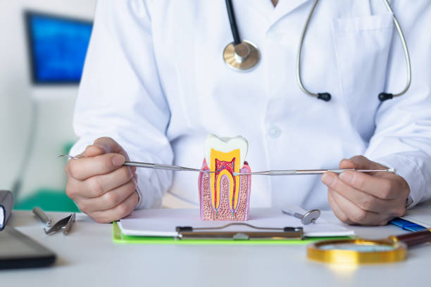 Best Dentist for Severe Toothache  in Linden, MI